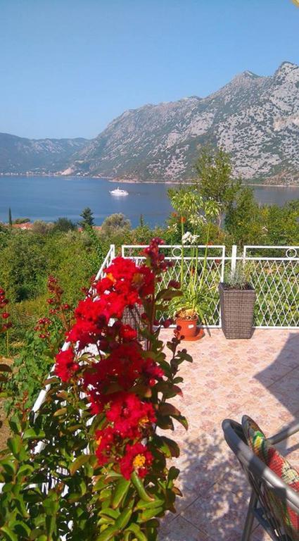Apartment Rose Garden Risan Exterior photo